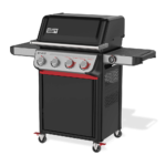 Weber Gas Grill - Spirit